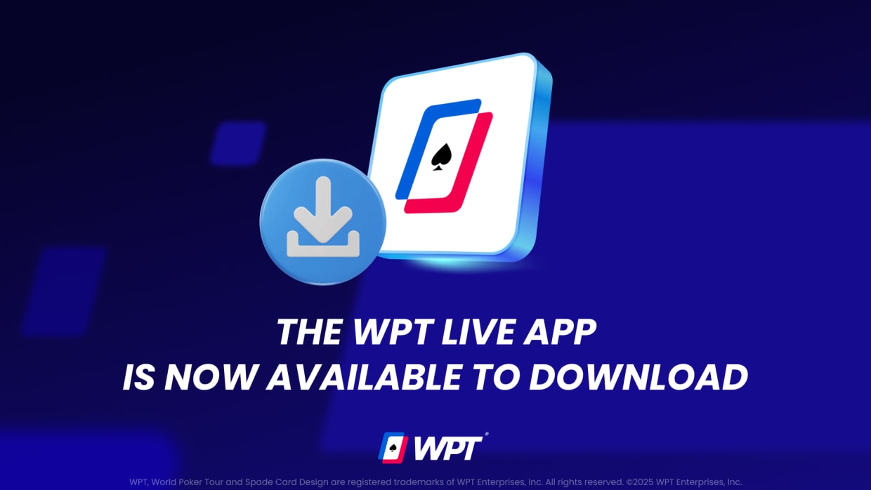 WPT Global 安装前安全检查画面